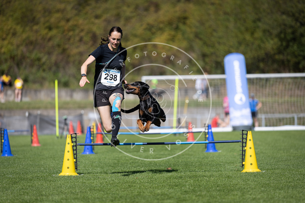 Pfotenfotografie_DV3A7693 | Hundefotografie, Tierfotograf, Pfotenfotografie, Fotoshooting Hund, Hunde Portrait, Hundesport, Hundeportraits, Heideshooting, Hunde, Sportfotograf, Hundefotograf, Turnierhundsport, THS,  - Realisiert mit Pictrs.com