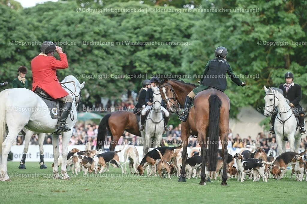 20230526_Pferdenacht_0552 | equistock