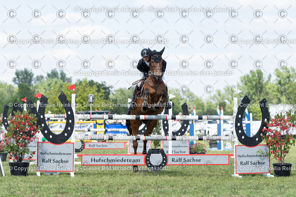 CL5A9600 | Emilia Reinking Fotografie - Realisiert mit Pictrs.com