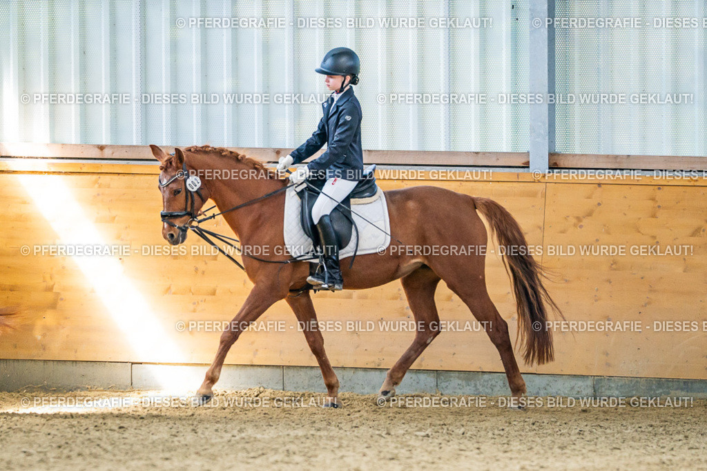 DSC03149 | Pferdegrafie