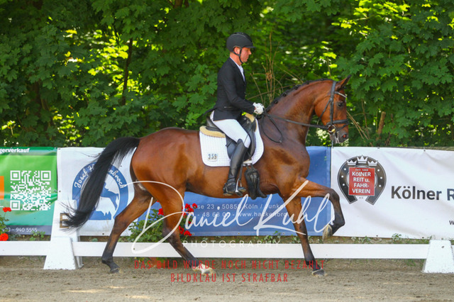 DKP42289 | Turniersportfotografie; Pferdefotografie; Dressurfotografie