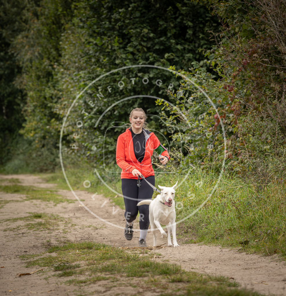 Pfotenfotografie_DV3A8215 | Hundefotografie, Tierfotograf, Pfotenfotografie, Fotoshooting Hund, Hunde Portrait, Hundesport, Hundeportraits, Heideshooting, Hunde, Sportfotograf, Hundefotograf, Turnierhundsport, THS,  - Realisiert mit Pictrs.com