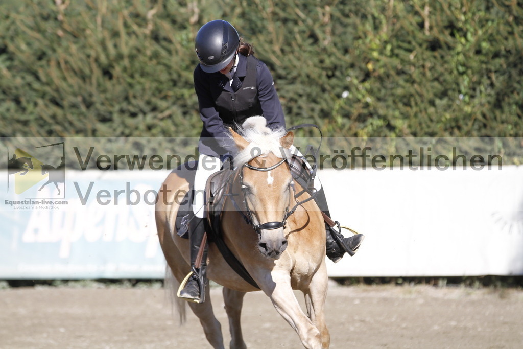 _MG_4687 | equestrian-live-com