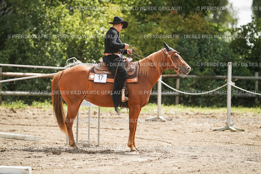 DSC06065 | Pferdegrafie