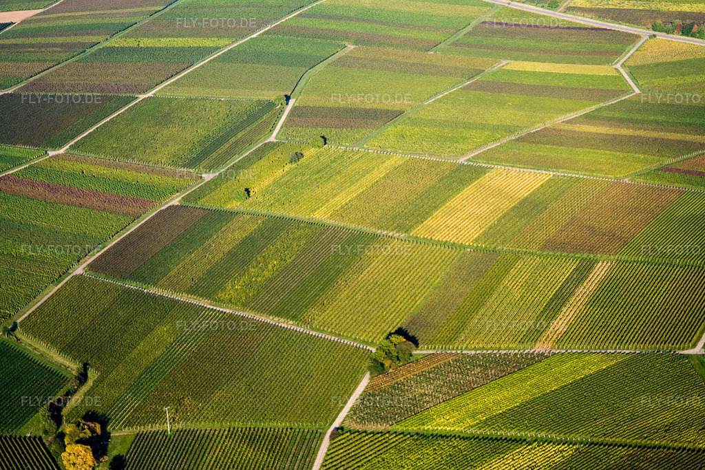 Luftbild: Herbstliches Reblaub in Göcklingen im Bundesland Rheinland-Pfalz in Deutschland. Foto: IMG_13712.jpg vom 28.09.2008 durch Werner Riehm/FLY-FOTO.de