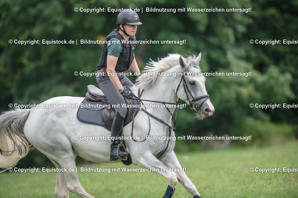 20250726_Vielseitigkeitslehrgang-Marbach_0502 | Foto: Thomas Hartig