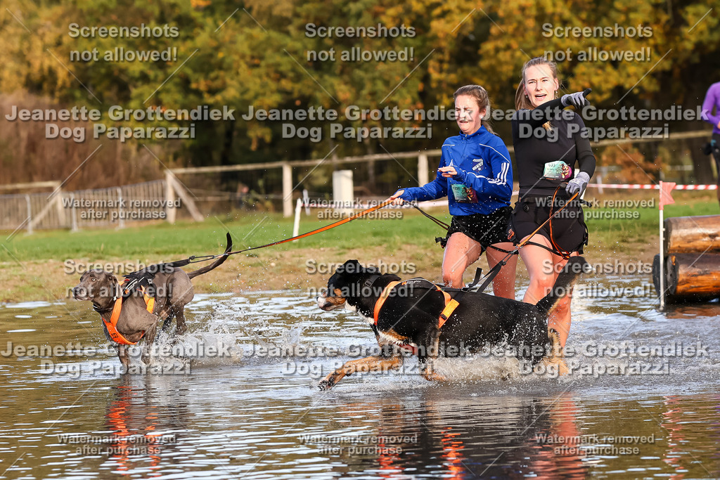 Dog Paparazzi - Strongdog 10-25-8331 | Dog Paparazzi Jeanette Grottendiek Fotografie & Videografie - Realisiert mit Pictrs.com