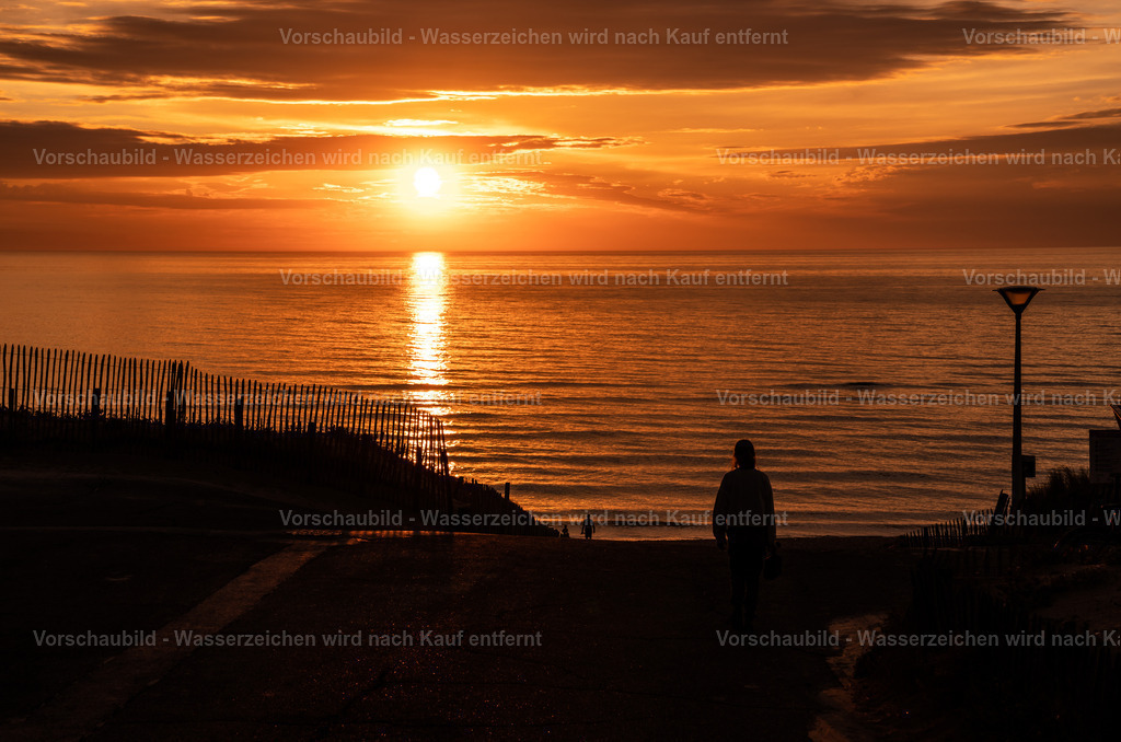 DSC08111_best | marcuslinek