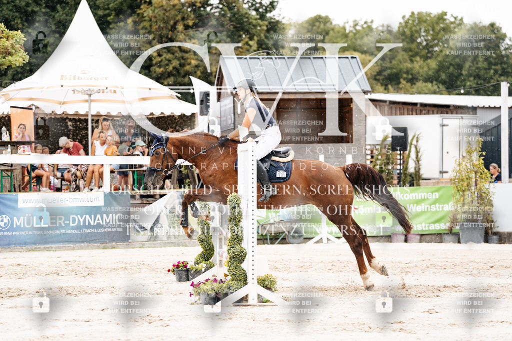 CK908559 | Turnierfotografie Pferdefotografie Trier Rheinland-Pfalz Pferdesport Reitsport Tierfotografie Sportfotografie Pferdevideo Pferdevideografie Equestrianvideography equestrianphotography  - Realisiert mit Pictrs.com