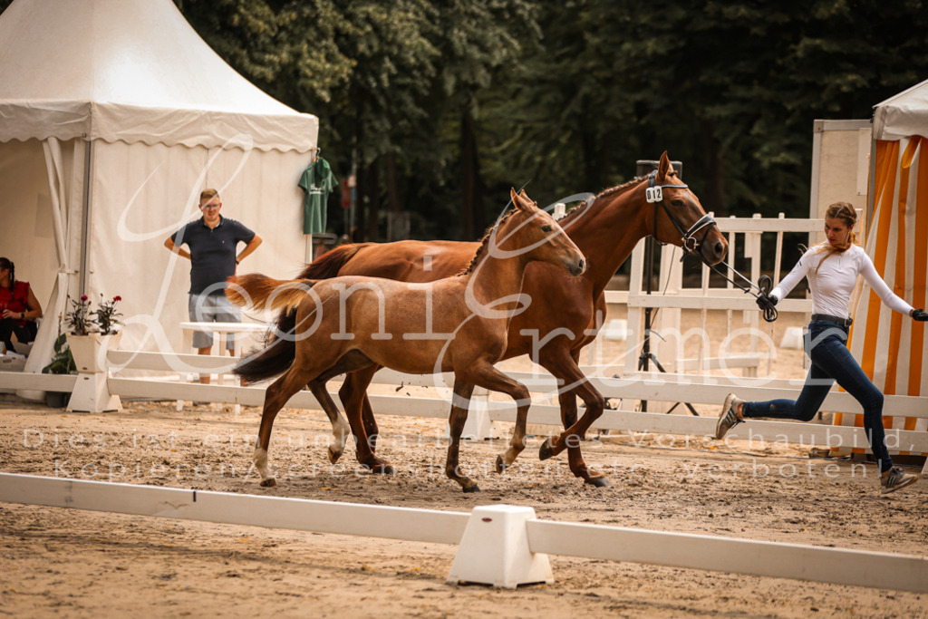 SaPA00171 | Leoni Ertmer Photography - Realisiert mit Pictrs.com