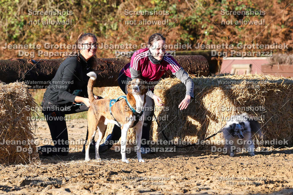 Dog Paparazzi - Strongdog 10-25-1199 | Dog Paparazzi Jeanette Grottendiek Fotografie & Videografie - Realisiert mit Pictrs.com