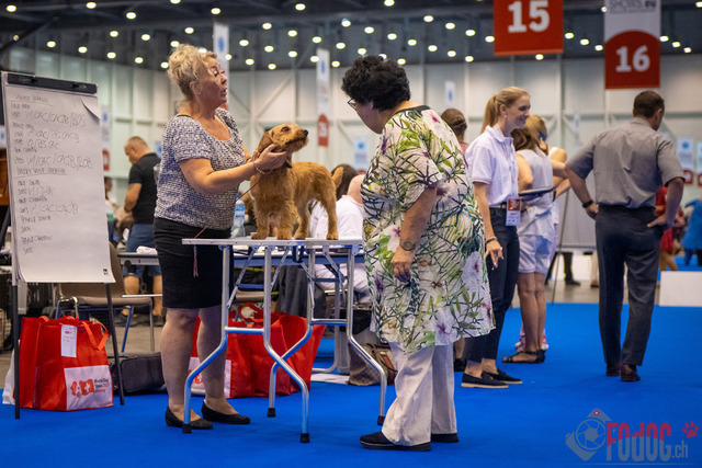 World Dog Show | World Dog Show 2023 im Palexpo in Genf 23.08.2023 Foto: Leo Wyden