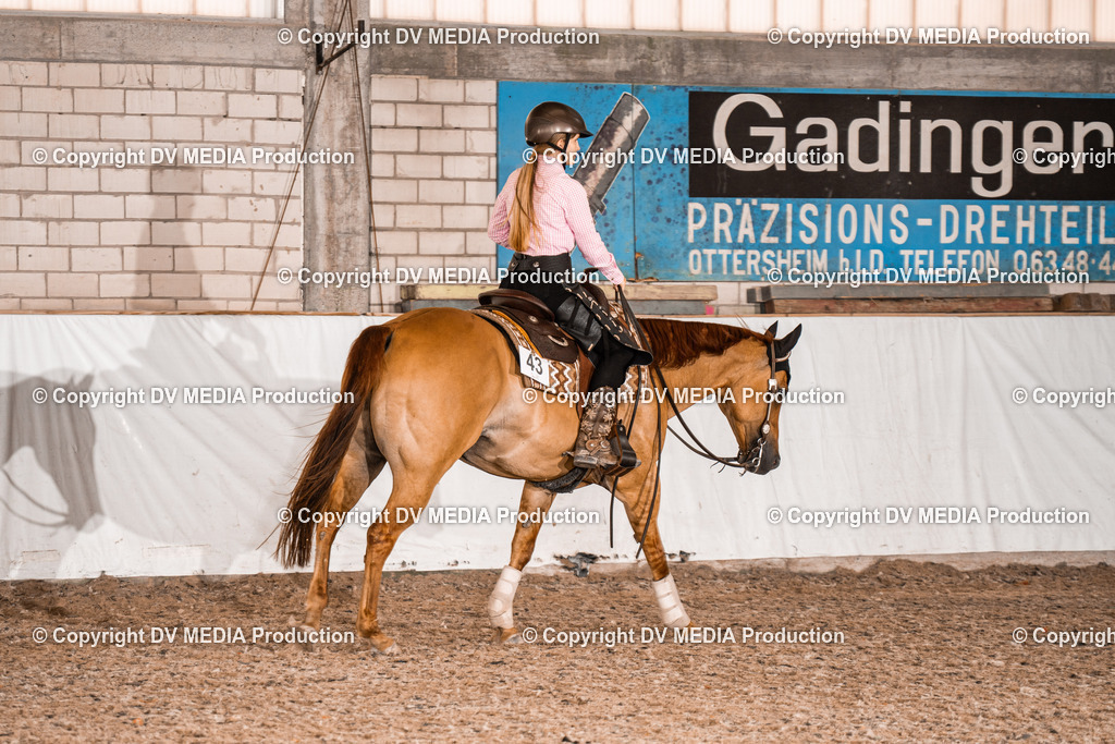 ZH200491 | dv-media-shop - Realisiert mit Pictrs.com