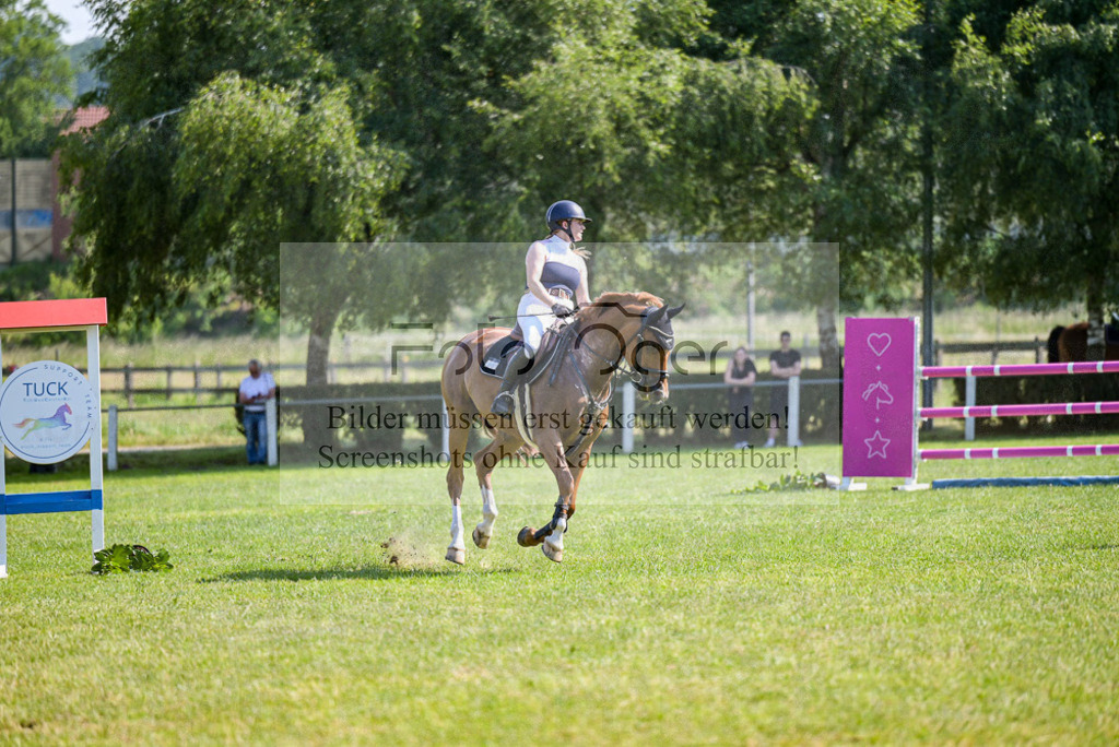 Reitturnier Voxtrup | Entdecke hochwertige Reitturnierfotos von Foto Oger. Professionell, emotional und authentisch – jetzt Lieblingsmomente im Shop bestellen.Deutschlandweite Turnierfotografie. - Realisiert mit Pictrs.com