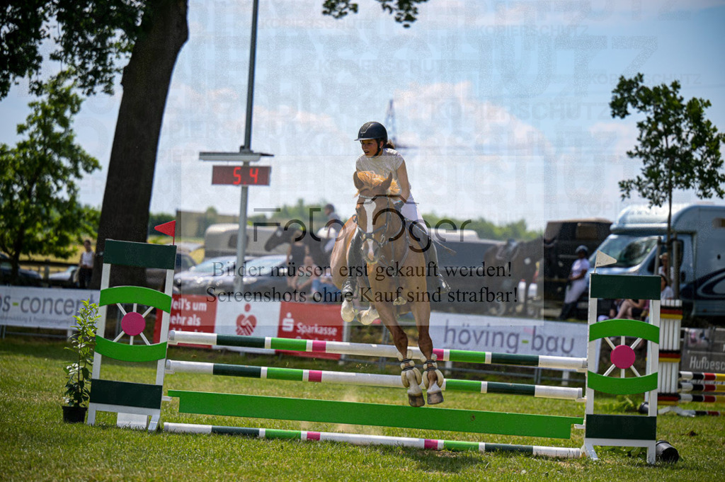 Reitturnier Voxtrup | Entdecke hochwertige Reitturnierfotos von Foto Oger. Professionell, emotional und authentisch – jetzt Lieblingsmomente im Shop bestellen. - Realisiert mit Pictrs.com