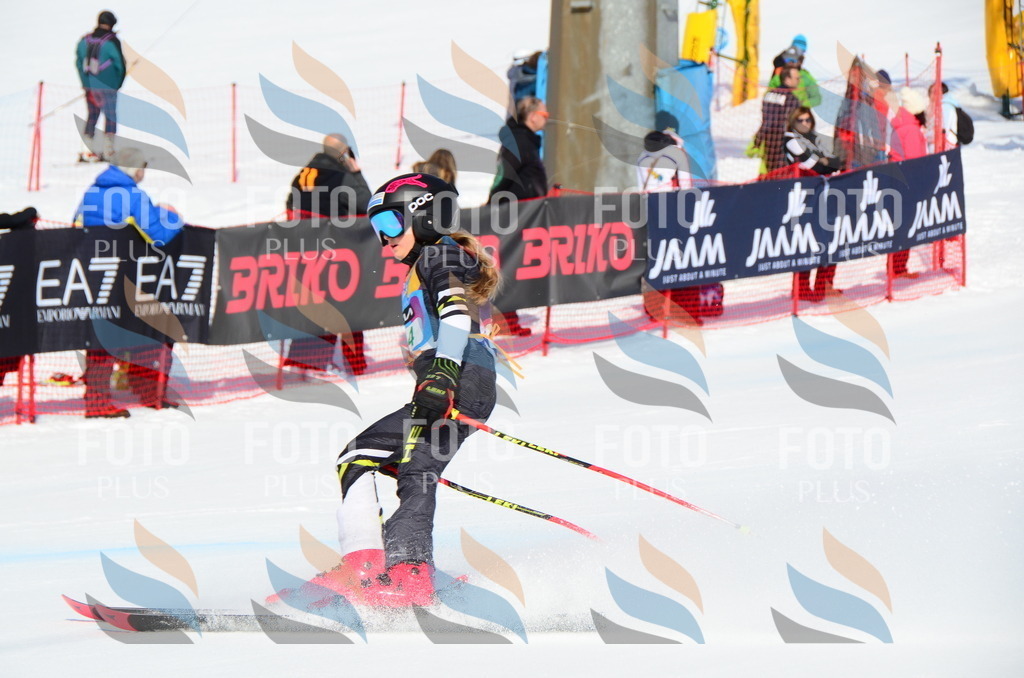 DSC_0540 | holidayphoto