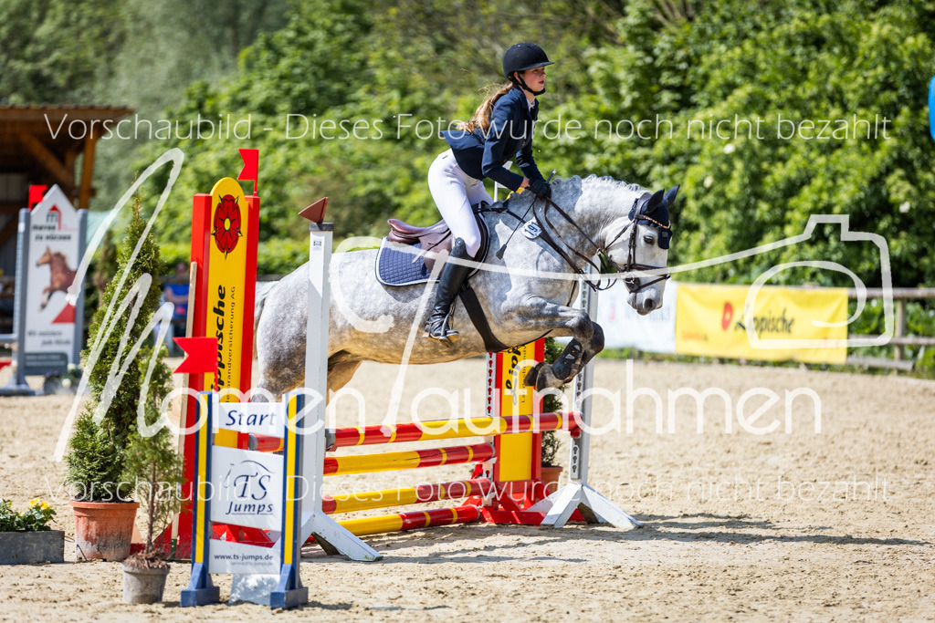 Donop24-SprRW-020 | MomenTaufnahmen Pferdesportfotos