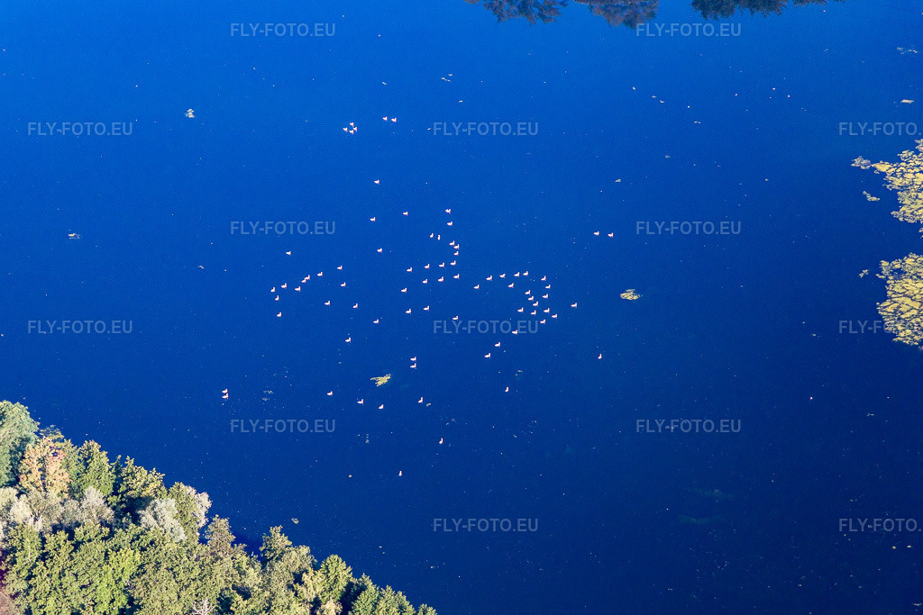 Vue aérienne: Ètang du Breuil à Flavigny-sur-Moselle dans le département Meurthe et Moselle, France. Photo: IMG_118262.jpg prise le 15/09/2019 par Werner Riehm/FLY-FOTO.euRésolution de l'original: 4845 x 3230 px
