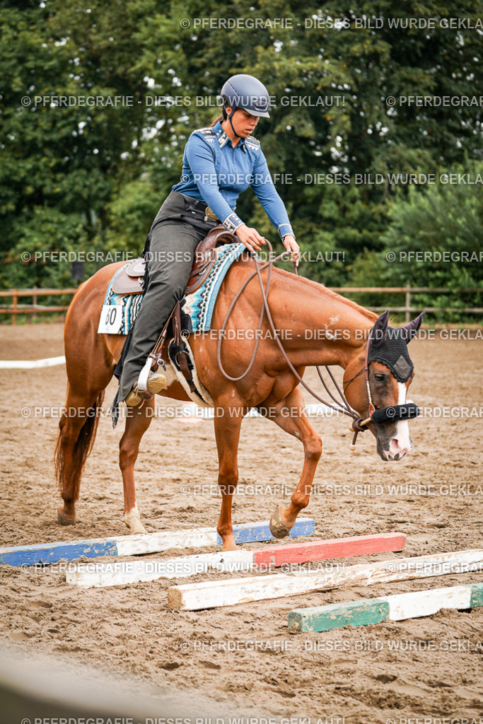 DSC04431 | Pferdegrafie