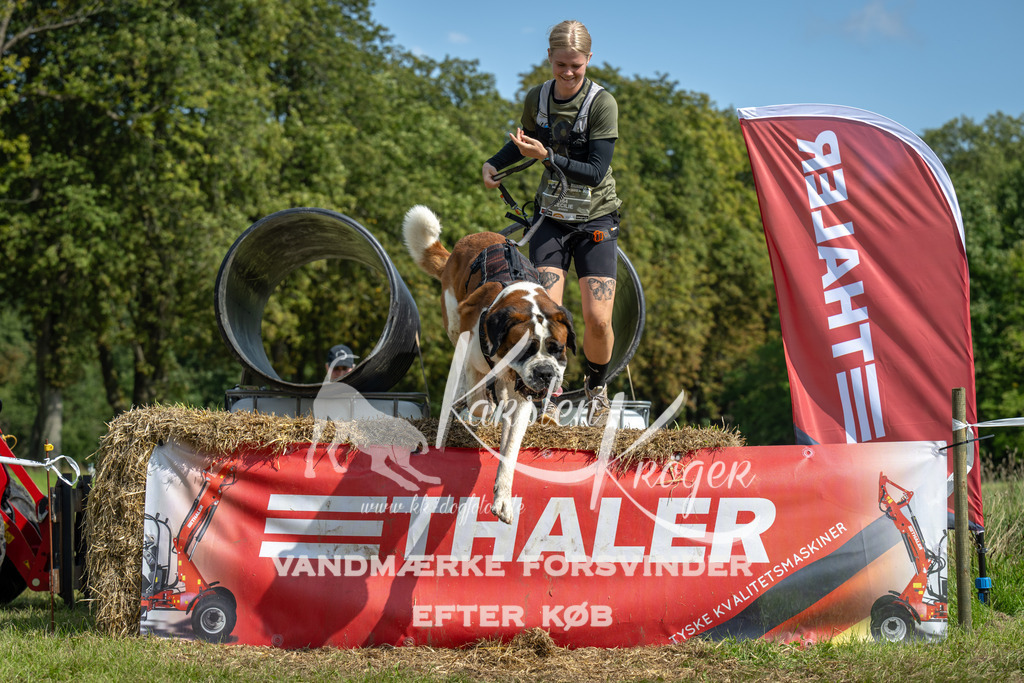 1305_ZZ92066 | kk-dogfotos