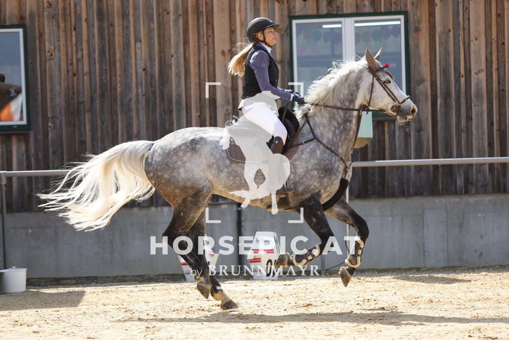 0P6A7515 | Willkommen bei Brunnmayr - Design & Fotografie – Ihrem Spezialisten für Reitturniere und Pferdeveranstaltungen in Oberösterreich, Salzburg und Bayern! Seit über 17 Jahren sind wir leidenschaftlich dabei.