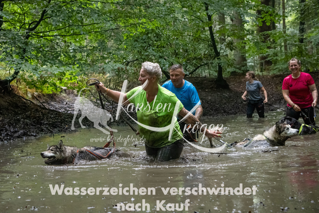 1339_ZZ90080-Bearbeitet | kk-dogfotos