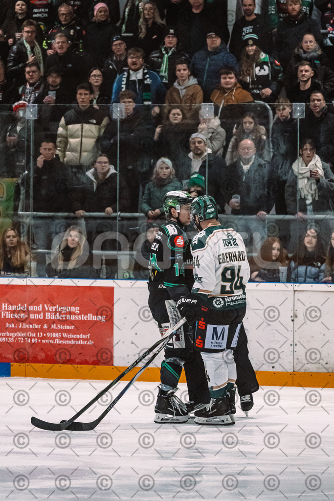 Alligators_vs_Erding_12_12_2025-173 | Höchstadt Alligators Fotogalerie: Eishockey-Action aus Franken. Professionelle Spielfotos, Portraits & Stadionbilder zum Download. Jetzt entdecken! - Realisiert mit Pictrs.com
