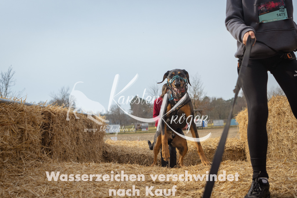 1021_ZZ94554 | kk-dogfotos