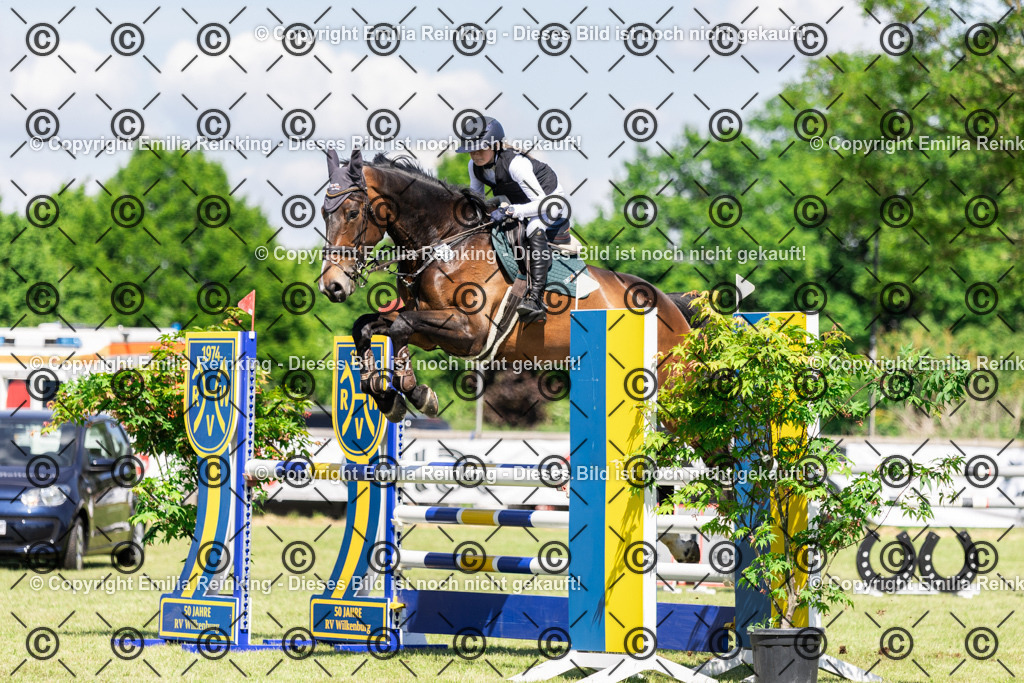 CL5A8819 | Emilia Reinking Fotografie - Realisiert mit Pictrs.com