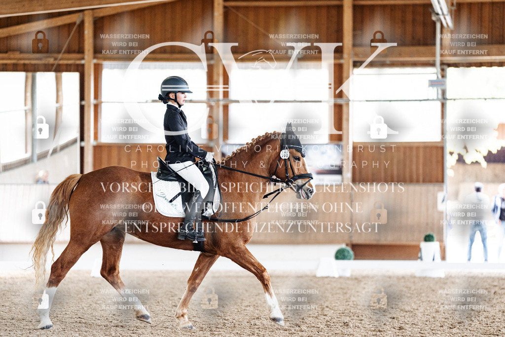 CK900850 | Turnierfotografie Pferdefotografie Trier Rheinland-Pfalz Pferdesport Reitsport Tierfotografie Sportfotografie Pferdevideo Pferdevideografie Equestrianvideography equestrianphotography  - Realisiert mit Pictrs.com