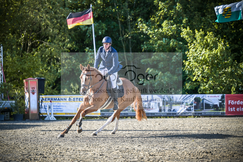 DOS_6212 | Entdecke hochwertige Reitturnierfotos von Foto Oger. Professionell, emotional und authentisch – jetzt Lieblingsmomente im Shop bestellen.Deutschlandweite Turnierfotografie. - Realisiert mit Pictrs.com