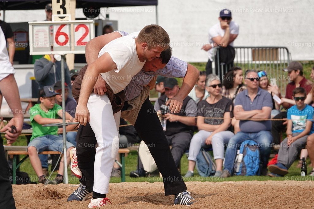 DSC04511 | Schwingen - Realisiert mit Pictrs.com