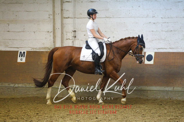 DKP44265 | Turniersportfotografie; Pferdefotografie; Dressurfotografie