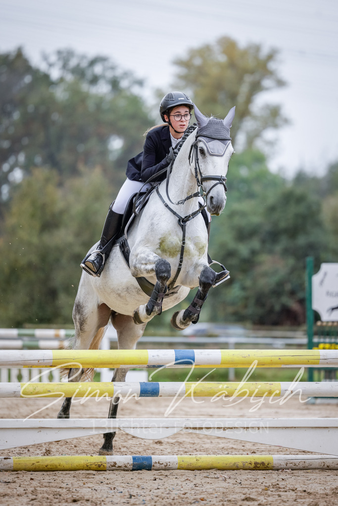 20251012-_3LI3350 | Tierfotografie Pferde, Hunde, Katzen, Haustiere.
Turnierfotografie Reitturniere, Reiten, Springreiten, Dressur in Hanau, dem Main-Kinzig-Kreis und dem Rhein-Main- Gebiet um Frankfurt