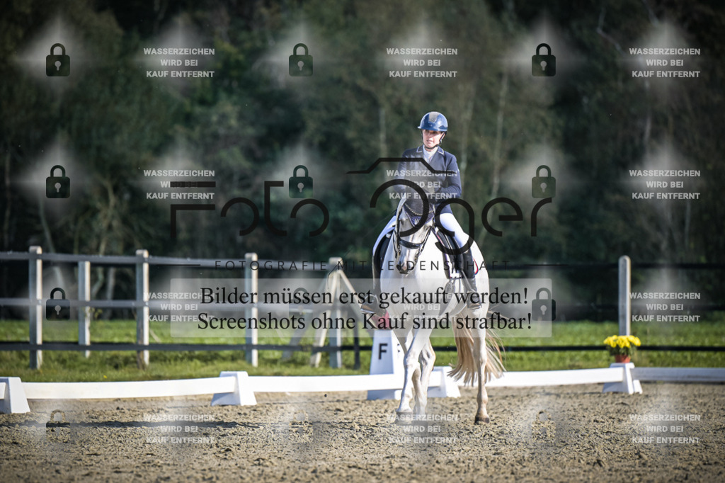 DOS_4510 | Entdecke hochwertige Reitturnierfotos von Foto Oger. Professionell, emotional und authentisch – jetzt Lieblingsmomente im Shop bestellen.Deutschlandweite Turnierfotografie. - Realisiert mit Pictrs.com