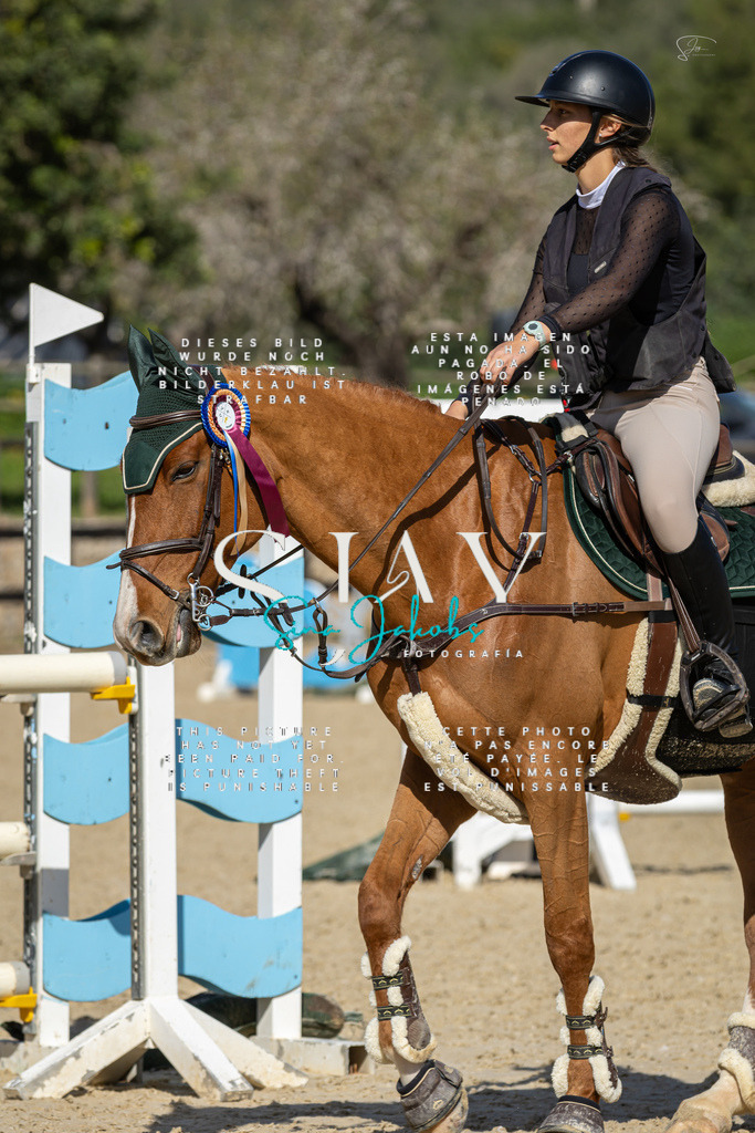 IMG_6582 | s-jay-photography - Realisiert mit Pictrs.com