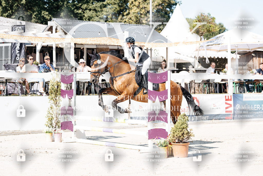 CK905147 | Turnierfotografie Pferdefotografie Trier Rheinland-Pfalz Pferdesport Reitsport Tierfotografie Sportfotografie Pferdevideo Pferdevideografie Equestrianvideography equestrianphotography  - Realisiert mit Pictrs.com