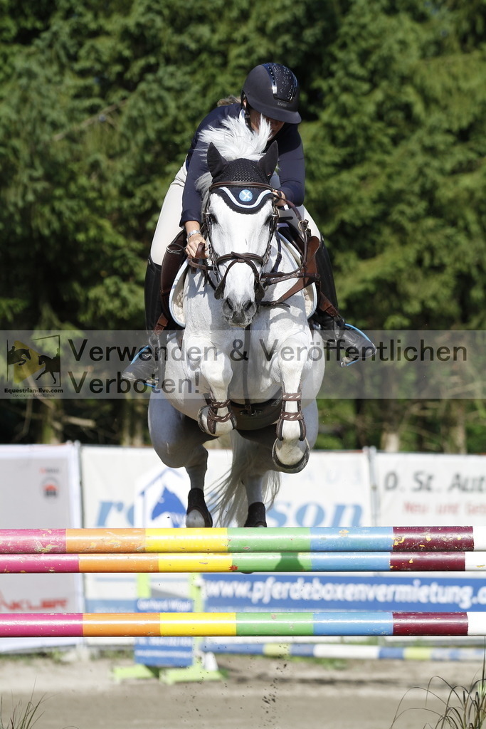 _MG_1247 | equestrian-live-com