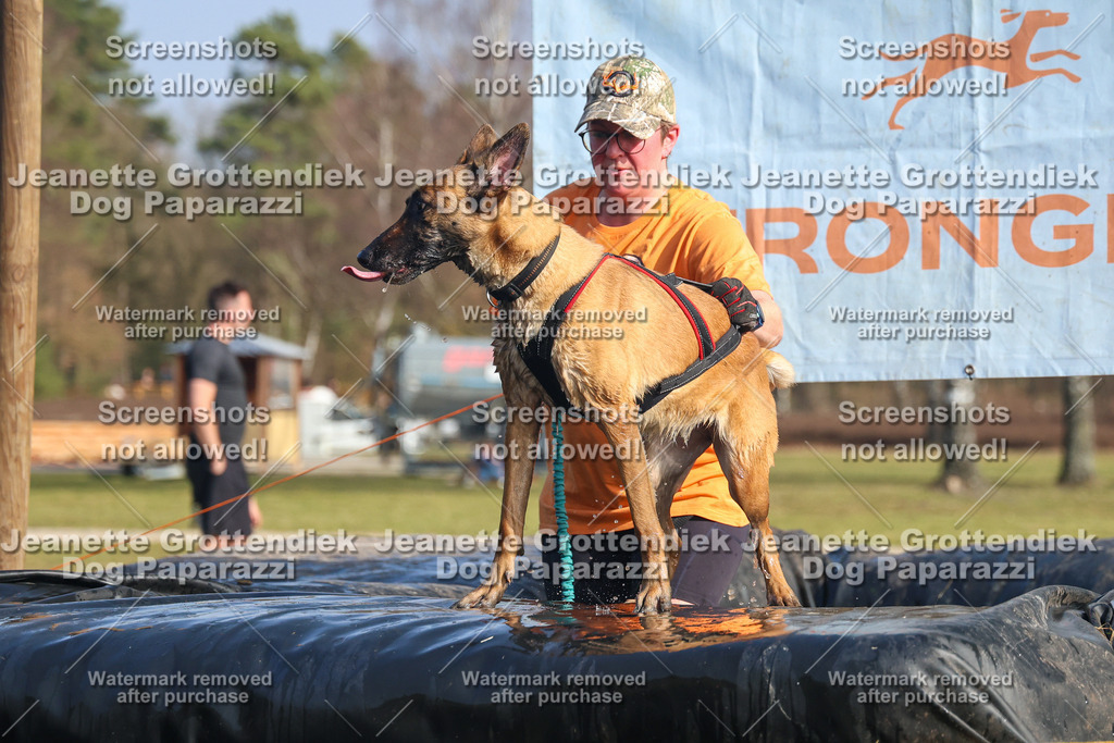 Dog Paparazzi - Strongdog North Mrz26-2742 | Dog Paparazzi Jeanette Grottendiek Fotografie & Videografie - Realisiert mit Pictrs.com