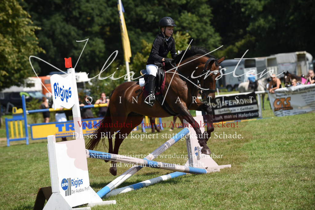 DSC_9910 | Pferde- und Turnierfotografie in Westsachsen. Pferdeportraits, Auftragszeichnungen und intuitive Kunst.