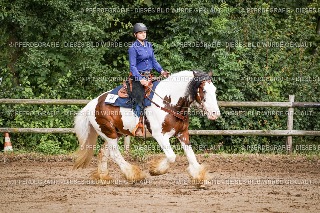 DSC07693 | Pferdegrafie