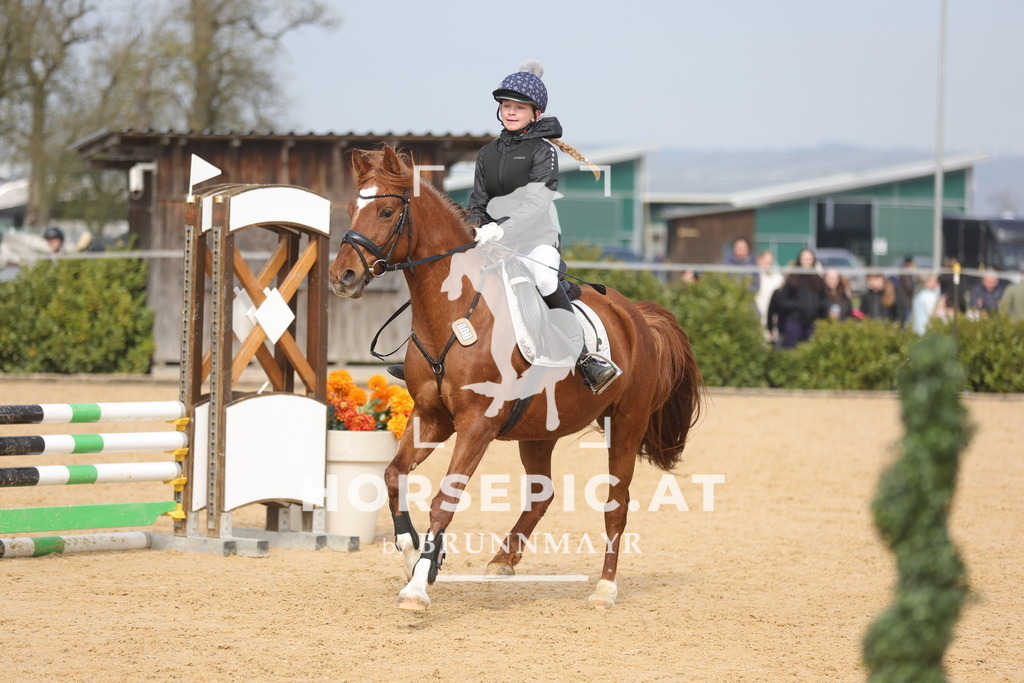 0P6A9235 | Willkommen bei Brunnmayr - Design & Fotografie – Ihrem Spezialisten für Reitturniere und Pferdeveranstaltungen in Oberösterreich, Salzburg und Bayern! Seit über 17 Jahren sind wir leidenschaftlich dabei.