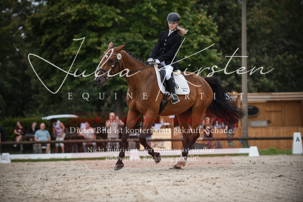 DSC_8031 | Pferde- und Turnierfotografie in Westsachsen. Pferdeportraits, Auftragszeichnungen und intuitive Kunst.