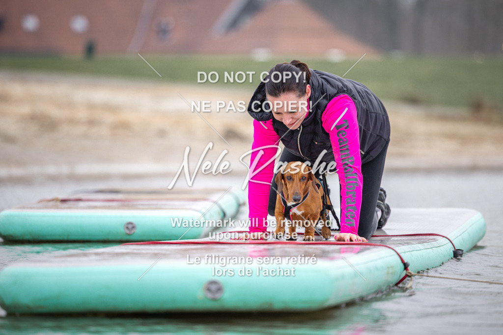 nelerasche_Hulsbeek_Sa1030-1100_413 | nelerasche