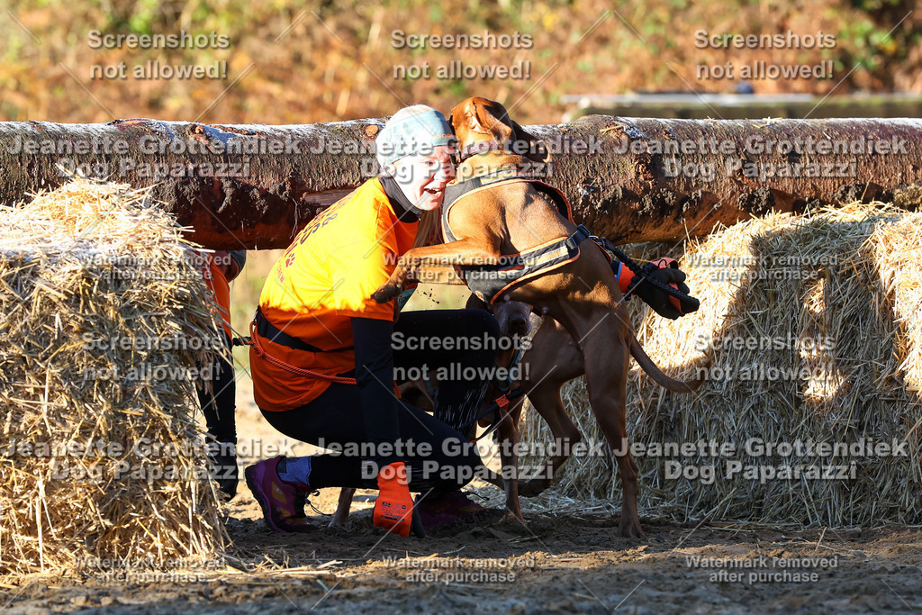 Dog Paparazzi - Strongdog 10-25-794 | Dog Paparazzi Jeanette Grottendiek Fotografie & Videografie - Realisiert mit Pictrs.com