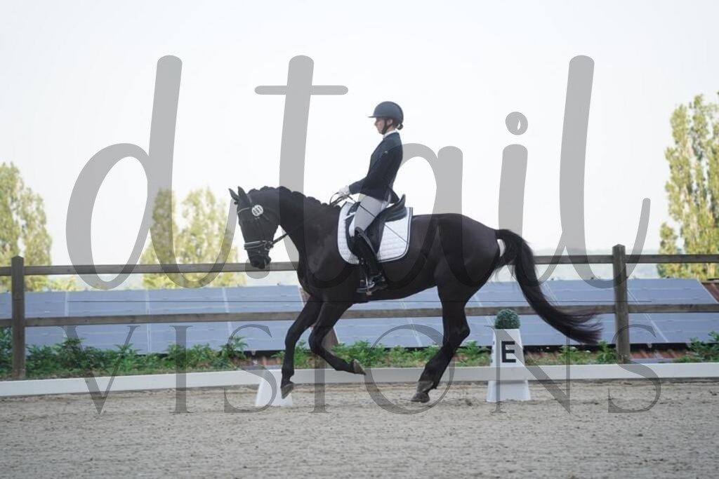 tgbhfreitag (87) | d.tail Visions - Shop - Realisiert mit Pictrs.com