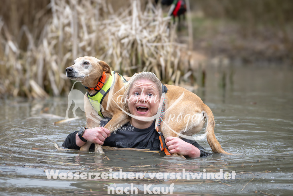 1008_ZZ96034 | kk-dogfotos