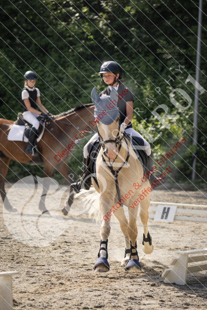 IMG_5806 | Sport-, Event- und Tierfotos in Profiqualität. Einfach auswählen, bestellen und herunterladen. Dein Moment – perfekt festgehalten.