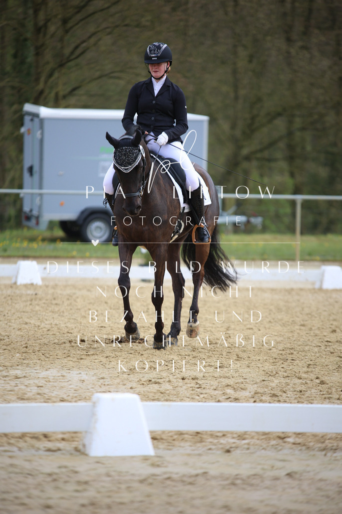 IMGT7026 | pl-fotografie