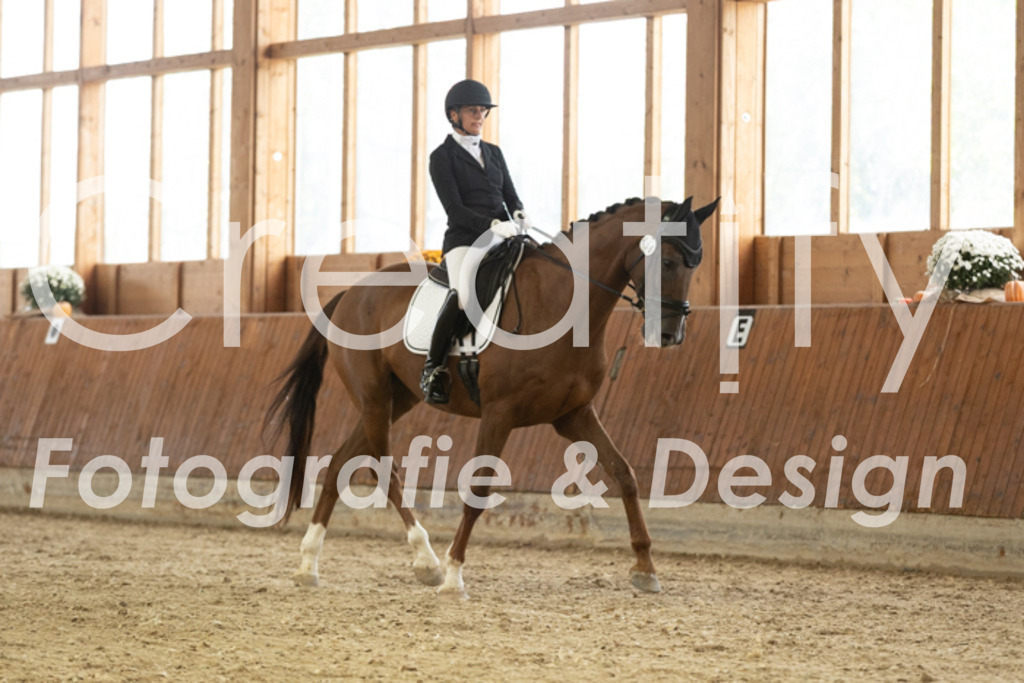 IMG_2773 | Creatify Fotografie